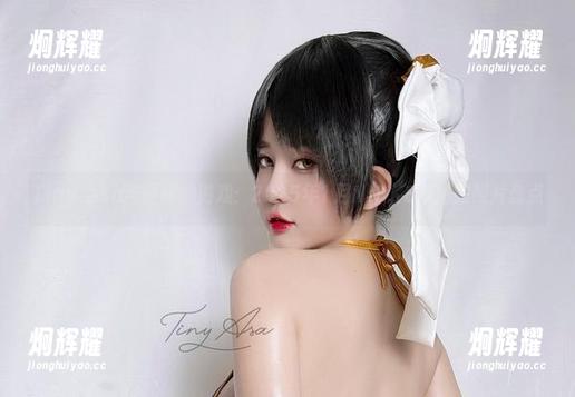 Tiny Asa Tiny Asa与时间的游戏:2025年1月NIKKE灰姑娘照片盘点